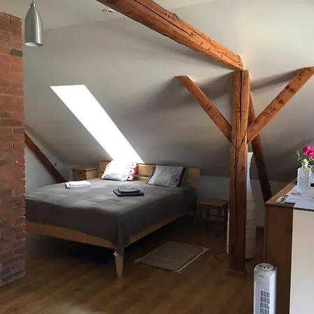 Podkrovi S Koupelnou Accommodatie bij particulieren *