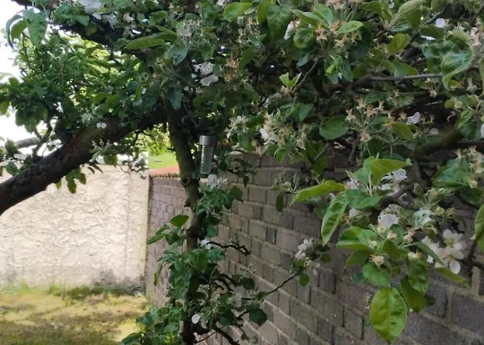 Podkroví S Koupelnou