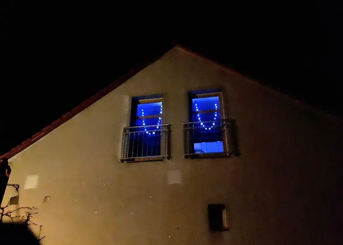 Podkrovi S Koupelnou ホームステイ Svinařov