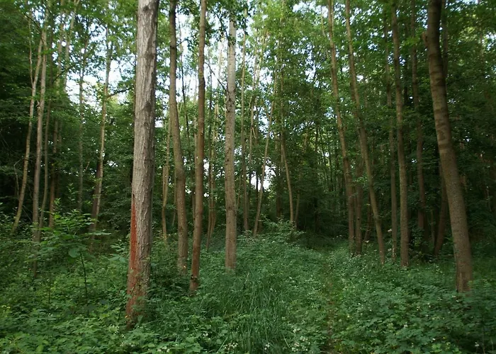 Ubytování v soukromí Podkroví S Koupelnou *