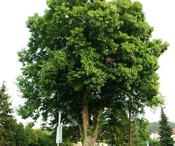 Ubytování v soukromí Podkroví S Koupelnou *